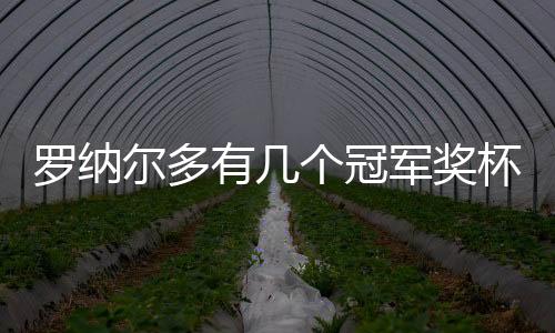 羅納爾多有幾個冠軍獎杯？羅納爾多參加過幾次世界杯？