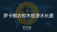 羅卡櫥衣柜木板滲水長蘑菇 消費者婚期被拖延