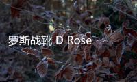 羅斯戰(zhàn)靴 D Rose 11 全新“Career High”配色即將來襲