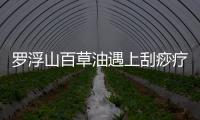 羅浮山百草油遇上刮痧療法，產生如此大影響力