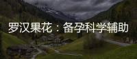 羅漢果花：備孕科學輔助魔力，讓你更順暢懷孕