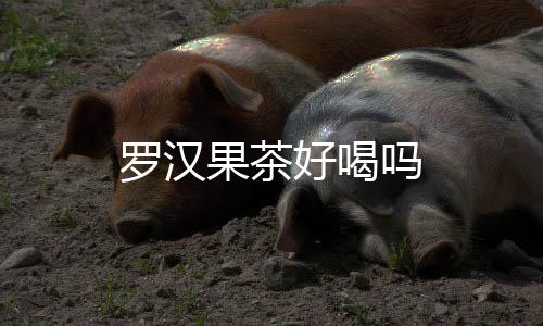 羅漢果茶好喝嗎