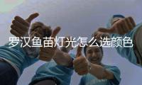 羅漢魚苗燈光怎么選顏色？羅漢魚燈光選擇