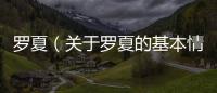羅夏（關于羅夏的基本情況說明介紹）
