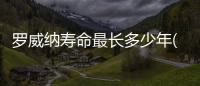羅威納壽命最長(zhǎng)多少年(羅威納平均壽命多少年)