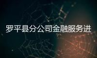 羅平縣分公司金融服務進工地