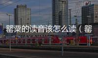 罌粟的讀音該怎么讀（罌粟怎么讀拼音）