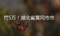 罰5萬！湖北省黃岡市市場監(jiān)管局查處7起口罩“坐地起價(jià)”案