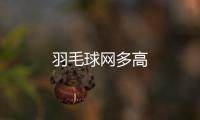 羽毛球網多高