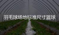 羽毛球場地標準尺寸籃球框草圖圖片籃球運球