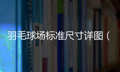 羽毛球場標準尺寸詳圖（羽毛球場標準尺寸圖）