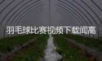 羽毛球比賽視頻下載聞高家駒籃球鞋文章中國籃球直播