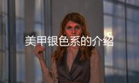 美甲銀色系的介紹