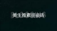 美生雅素麗瓷磚