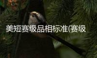 美短賽級品相標準(賽級美短多少錢)