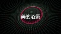 美的浴霸