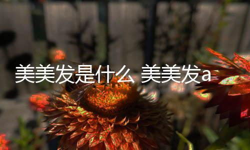 美美發是什么 美美發app應該怎樣樣