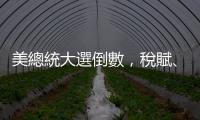 美總統大選倒數，稅賦、綠能、中國等政策引關注