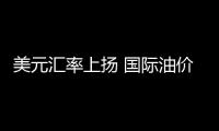 美元匯率上揚(yáng) 國際油價(jià)收跌于81.47美元