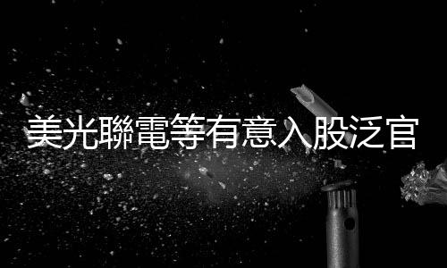 美光聯(lián)電等有意入股泛官股售電公司，經(jīng)濟(jì)部：洽談中