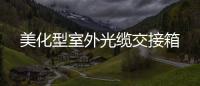 美化型室外光纜交接箱
