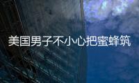 美國男子不小心把蜜蜂筑巢的樹枝給剪了 被蜇2萬次昏迷5天才醒來