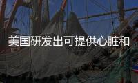 美國(guó)研發(fā)出可提供心臟和血管3D影像微型芯片