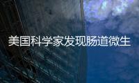 美國科學家發現腸道微生物可以將紅肉中特定成分變成有害物質