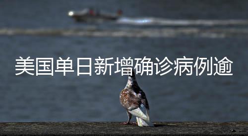 美國單日新增確診病例逾1.7萬例 累計確診逾134萬例