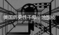 美國歷史性干旱，油脂能否重現(xiàn)輝煌