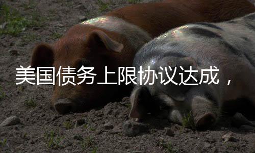 美國債務上限協議達成，標普500ETF基金漲1.39%