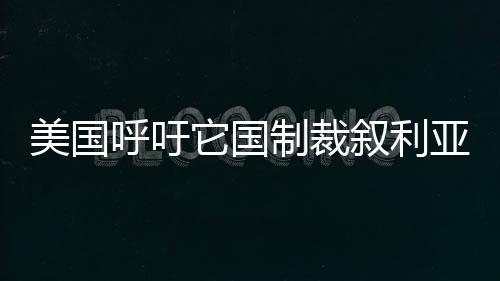 美國呼吁它國制裁敘利亞稱將采取嚴(yán)厲措施