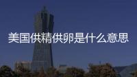 美國供精供卵是什么意思答案在這，與國內區別大了解下