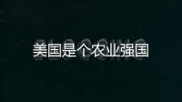 美國是個農業強國