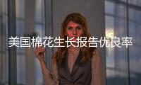 美國棉花生長報告優良率39%