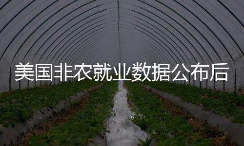 美國非農就業數據公布后，英國國債期貨下跌超過40個基點