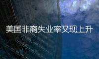 美國非裔失業(yè)率又現(xiàn)上升勢頭 非裔女性受影響尤其嚴(yán)重