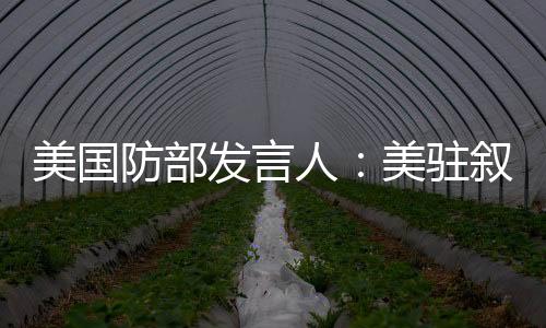美國防部發言人：美駐敘兵力已翻倍 增至約2000人