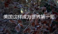 美國這樣成為世界第一葡萄酒消費大國