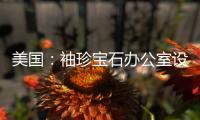 美國：袖珍寶石辦公室設計（組圖）