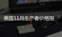 美國11月生產者價格指數能源價格升2.1%