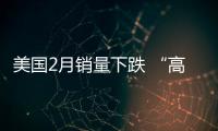 美國2月銷量下跌 “高原效應(yīng)”日益突出