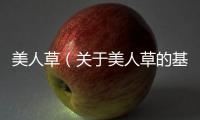 美人草（關(guān)于美人草的基本情況說明介紹）