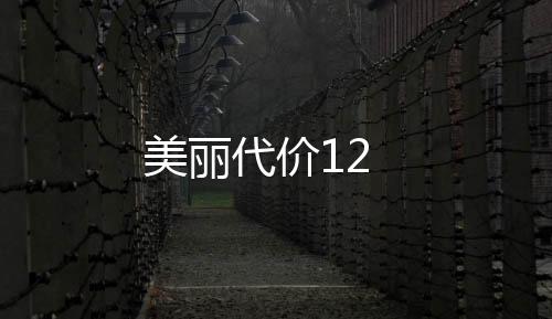 美麗代價12
