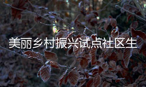 美麗鄉(xiāng)村振興試點社區(qū)生活廢水處理工程