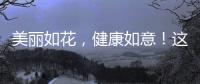 美麗如花，健康如意！這個神奇的植物讓你煥發青春活力！