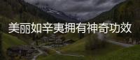 美麗如辛夷擁有神奇功效，助你煥發光彩！