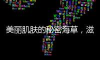 美麗肌膚的秘密海草，滋養(yǎng)你的皮膚，煥發(fā)青春光彩！