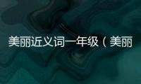 美麗近義詞一年級（美麗近義詞）