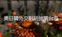 美日韓外交對話強調臺海和平穩定重要性，外交部：攜手促進區域穩定